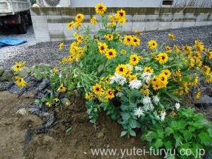 植物に添え木