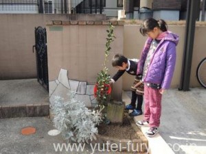 植物に潤いを