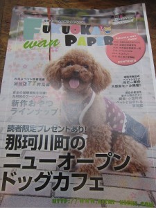 FUKUOKA PAPER