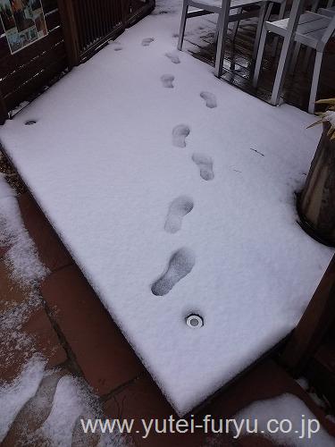 福岡市 東区 福岡東店 雪積もりました 外構 エクステリア 遊庭風流徒然日記