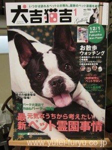 犬吉猫吉最新号