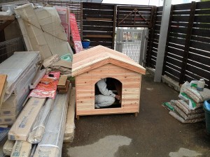 ドッグハウス (犬小屋)