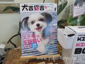 犬吉猫吉