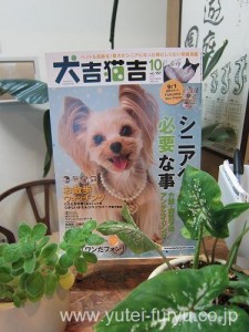 犬吉猫吉10月号