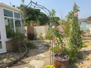 シャンテ･ロゼ・ミサト　薔薇