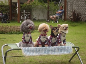 犬吉猫吉撮影会イベント 撮影中