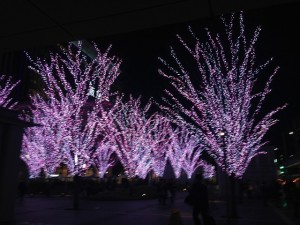 博多駅 春色ナイト