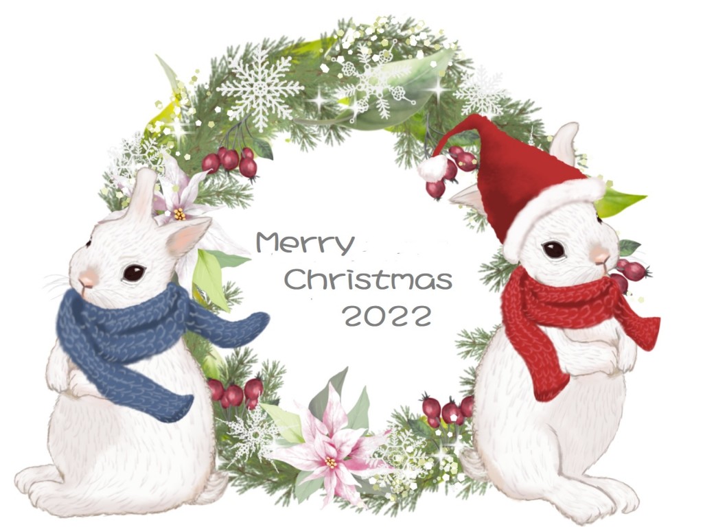 MerryChristmas2022