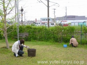 芝のお手入れ