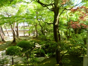 日本庭園 足立美術館 2