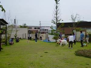 犬吉猫吉 写真撮影会 ドッグラン