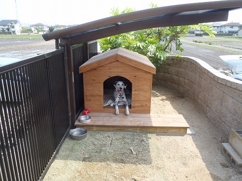 IIIE 新築・犬小屋 ドッグハウス【送料込】仔犬用 オブジェ