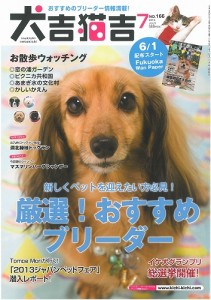 犬吉猫吉 最新号 