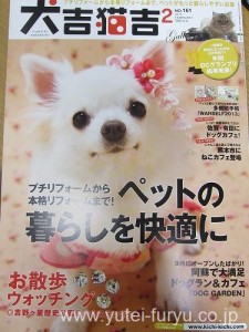 犬吉猫吉最新号